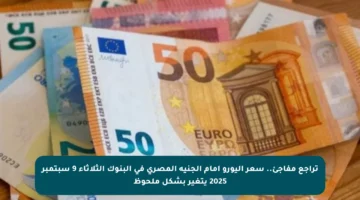 تراجع مفاجئ.. سعر اليورو أمام الجنيه المصري في البنوك الثلاثاء 9 سبتمبر 2025 يتغير بشكل ملحوظ